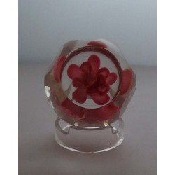 Paperweight  Perthshire  GB